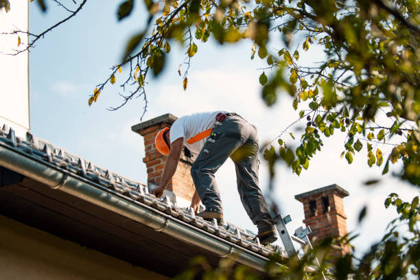 Roof Gutter Cleaning in Loudon, TN