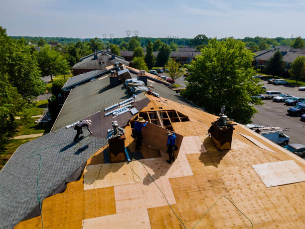 Quick and Trustworthy Emergency Roof Repair Services in Loudon, TN