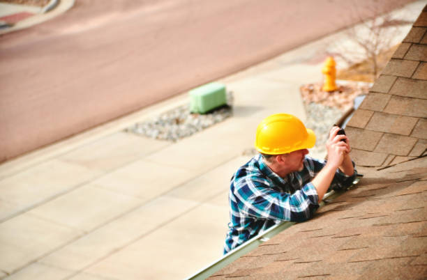 Best Roof Gutter Cleaning  in Loudon, TN